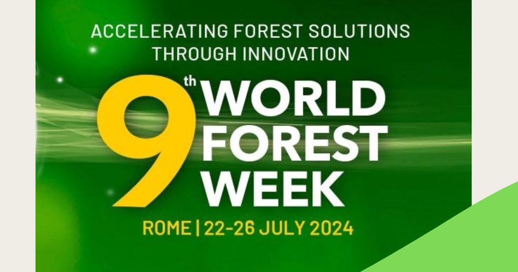 9ème Semaine mondiale des forêts – La COP27 de Rome accélère les solutions forestières par l’innovation