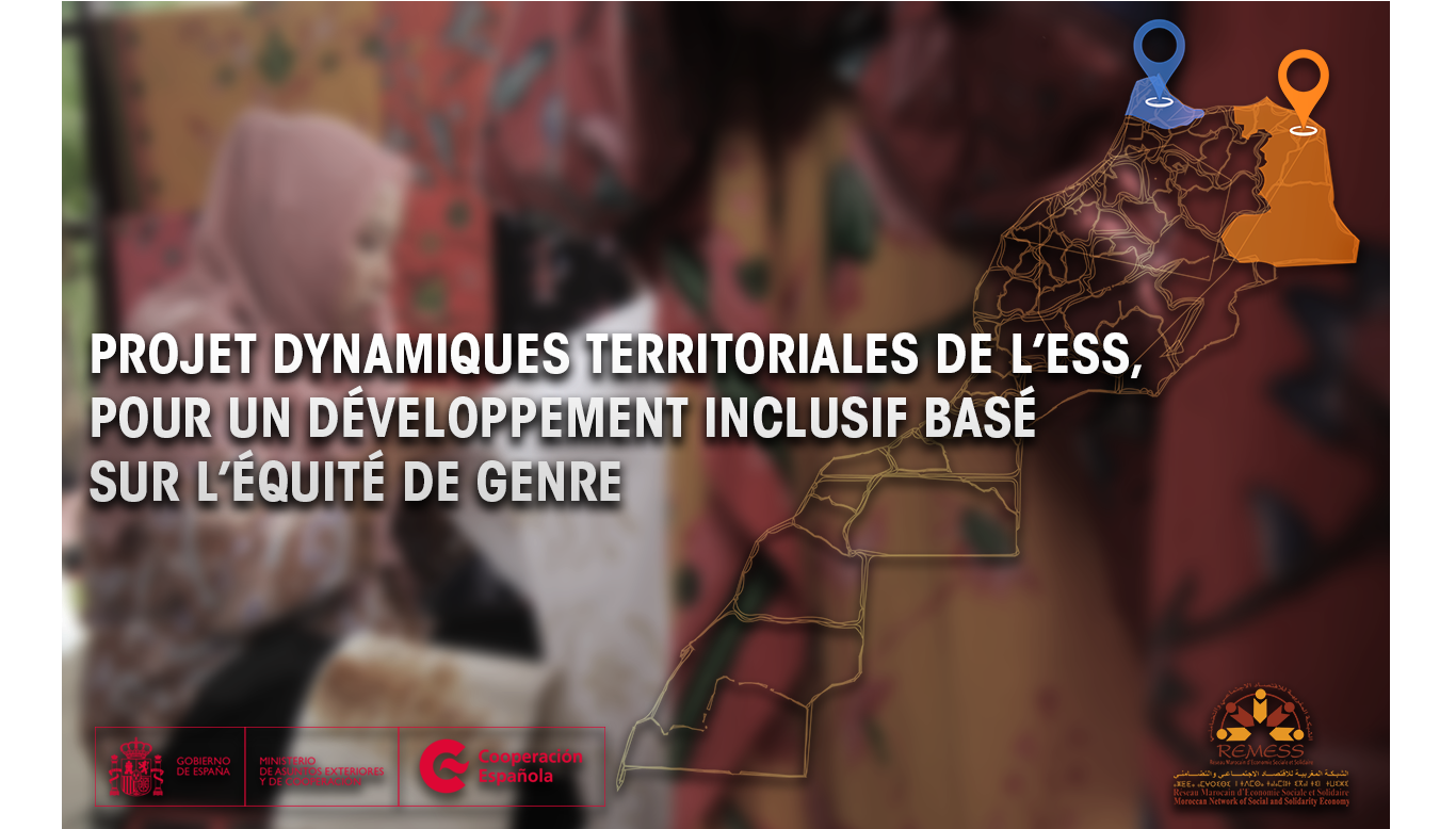 Projet Pilote pour le Développement Inclusif et Équité du Genre : Le REMESS Lance un Appel à Consultation Stratégique