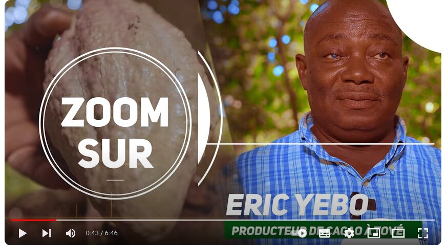 Komla Yebo : l’agroforesterie, clé de la réussite d’un cacaoculteur togolais