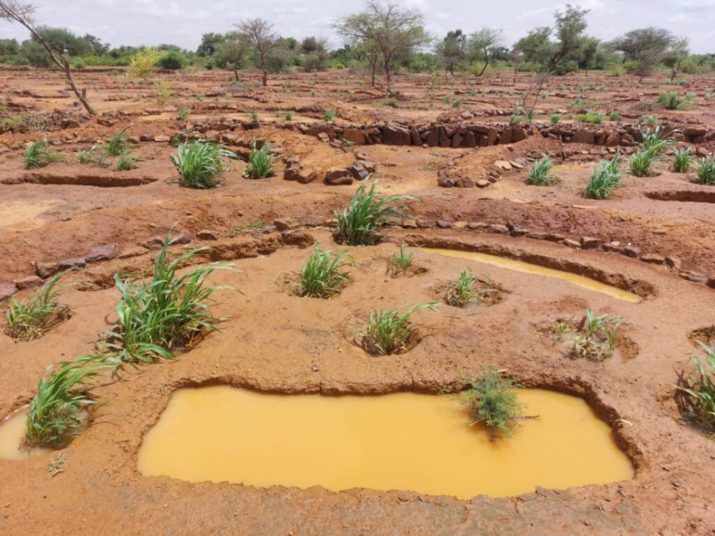 Une nouvelle vie pour les terres de Garhanga grâce aux ouvrages anti-érosifs