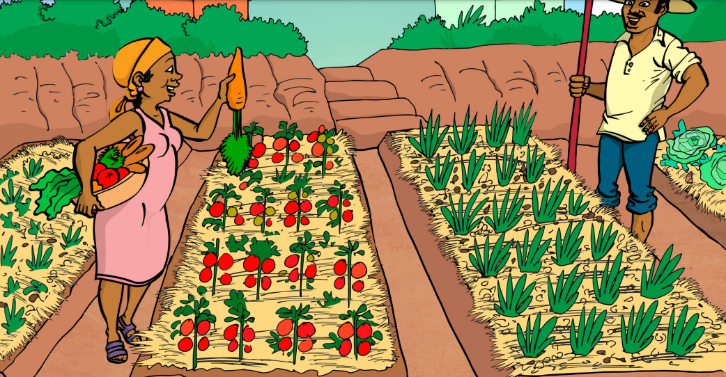 Agroécologie : du principe à la pratique en 12 planches