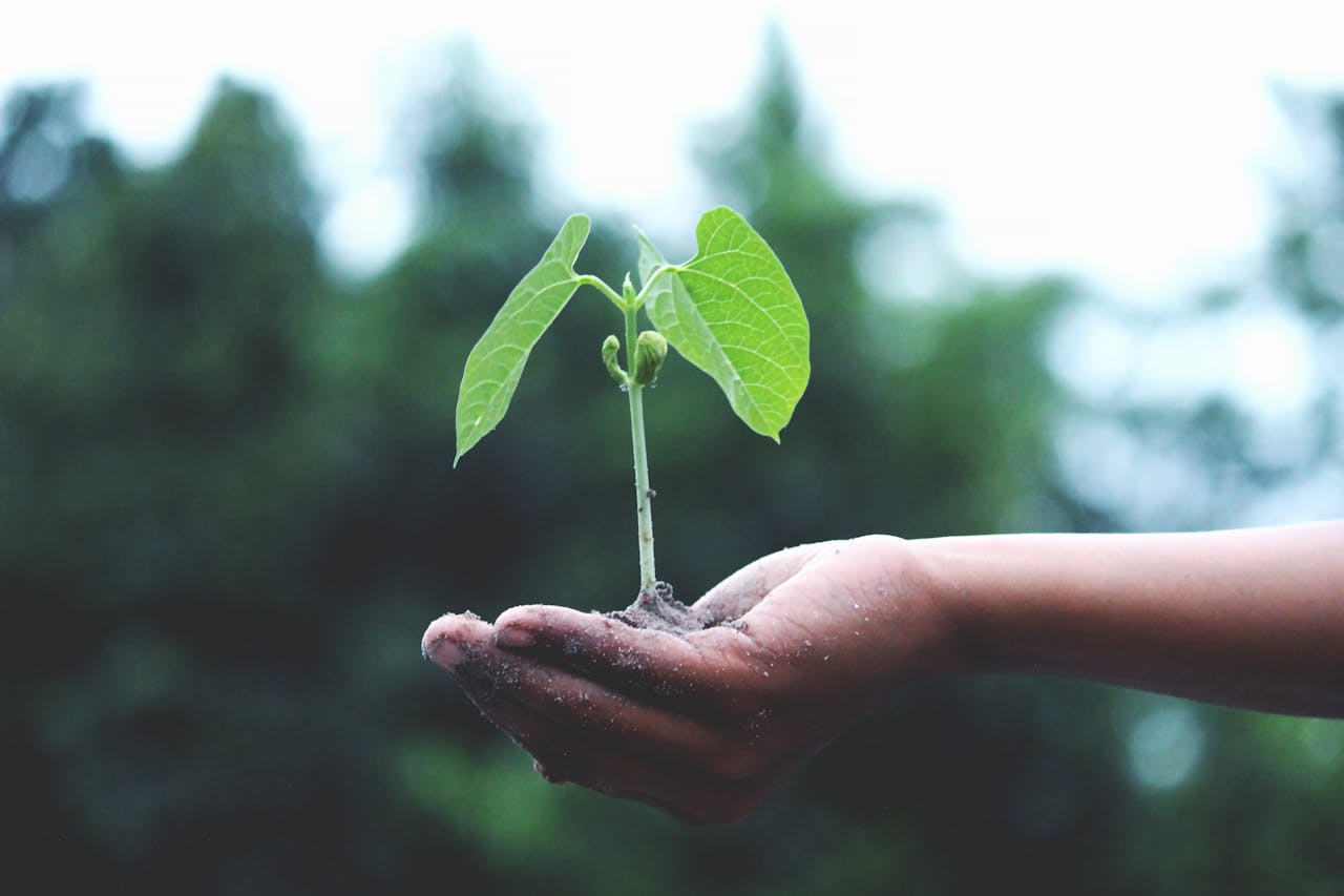 Le Togo s’engage pour un entrepreneuriat vert : un nouvel élan pour l’économie durable