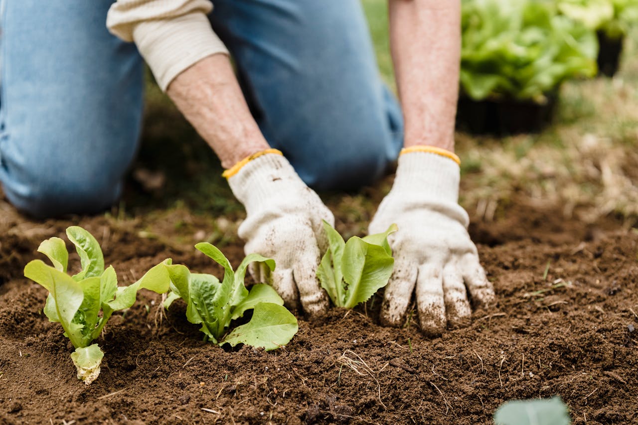 Enseignement agricole et agroécologie: des avancées prometteuses mais des obstacles persistants