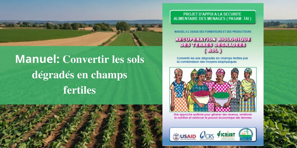 Réhabiliter les Terres Dégradées : Un Manuel Indispensable pour Formateurs et Producteurs