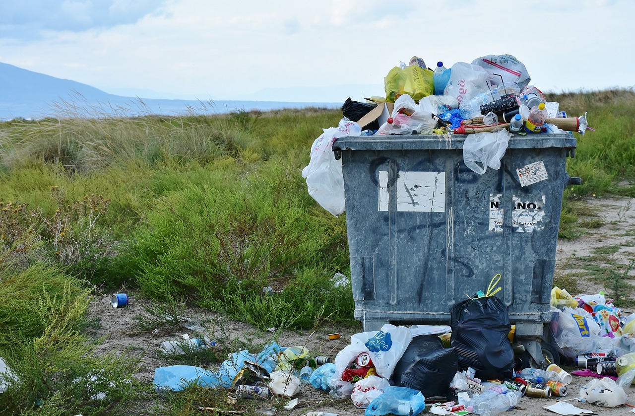 Appel à Communications : Journées Scientifiques sur la Valorisation des Déchets dans le Bassin du Congo