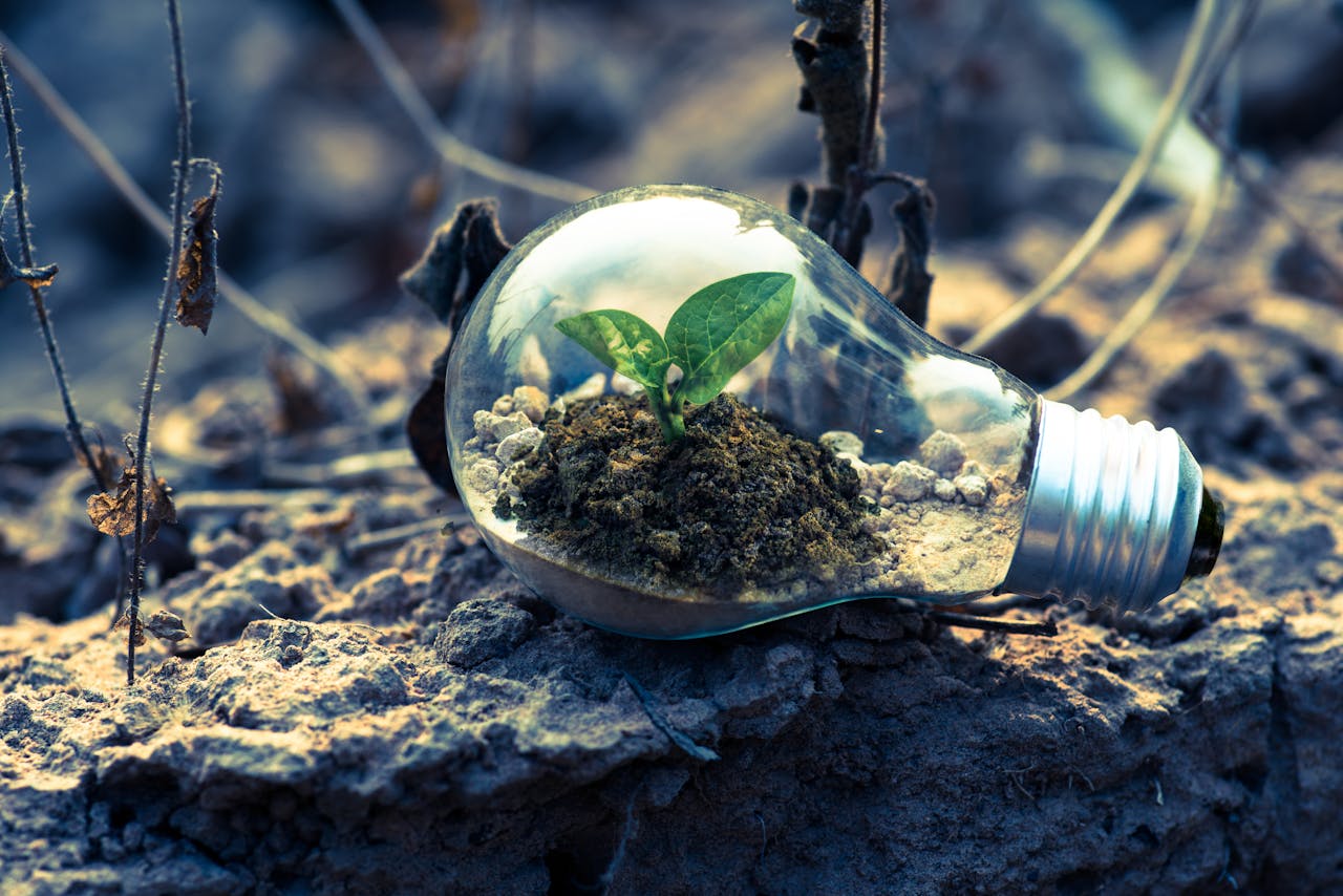 Devenez un acteur de la finance durable : l’OIF vous offre une formation gratuite