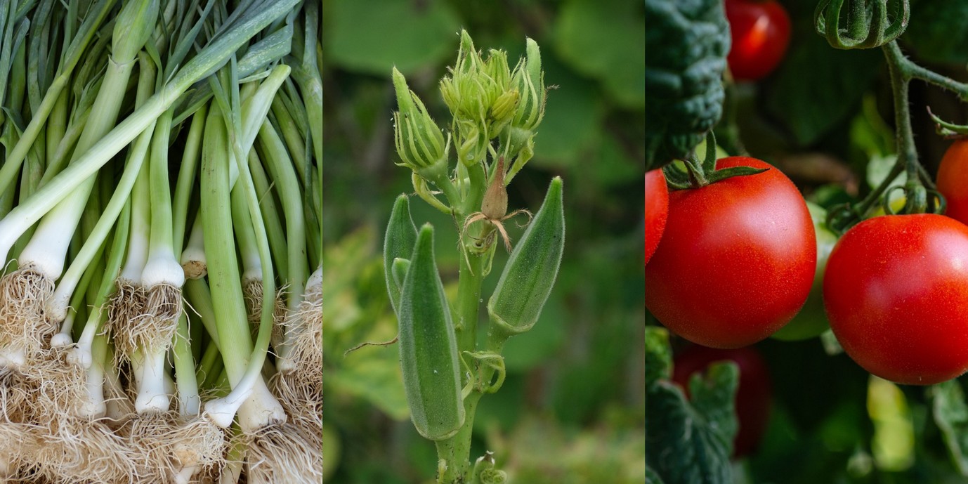 Boostez vos Compétences Agricoles avec AGRO-KAMER : Une Opportunité à Saisir !