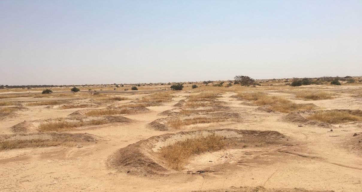 Le Pouvoir des Solutions Fondées sur la Nature : L’exemple inspirant de « Just Dig It » en Tanzanie