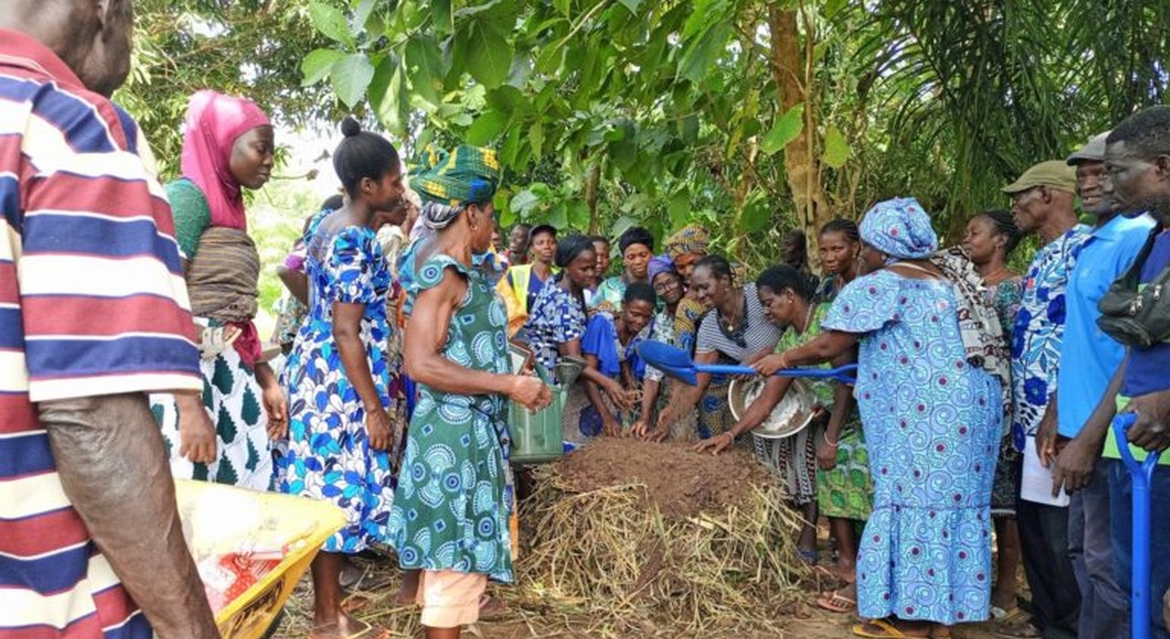 Jean-Charles Sossou : L’Agroécologie comme Moteur de Développement Durable au Togo