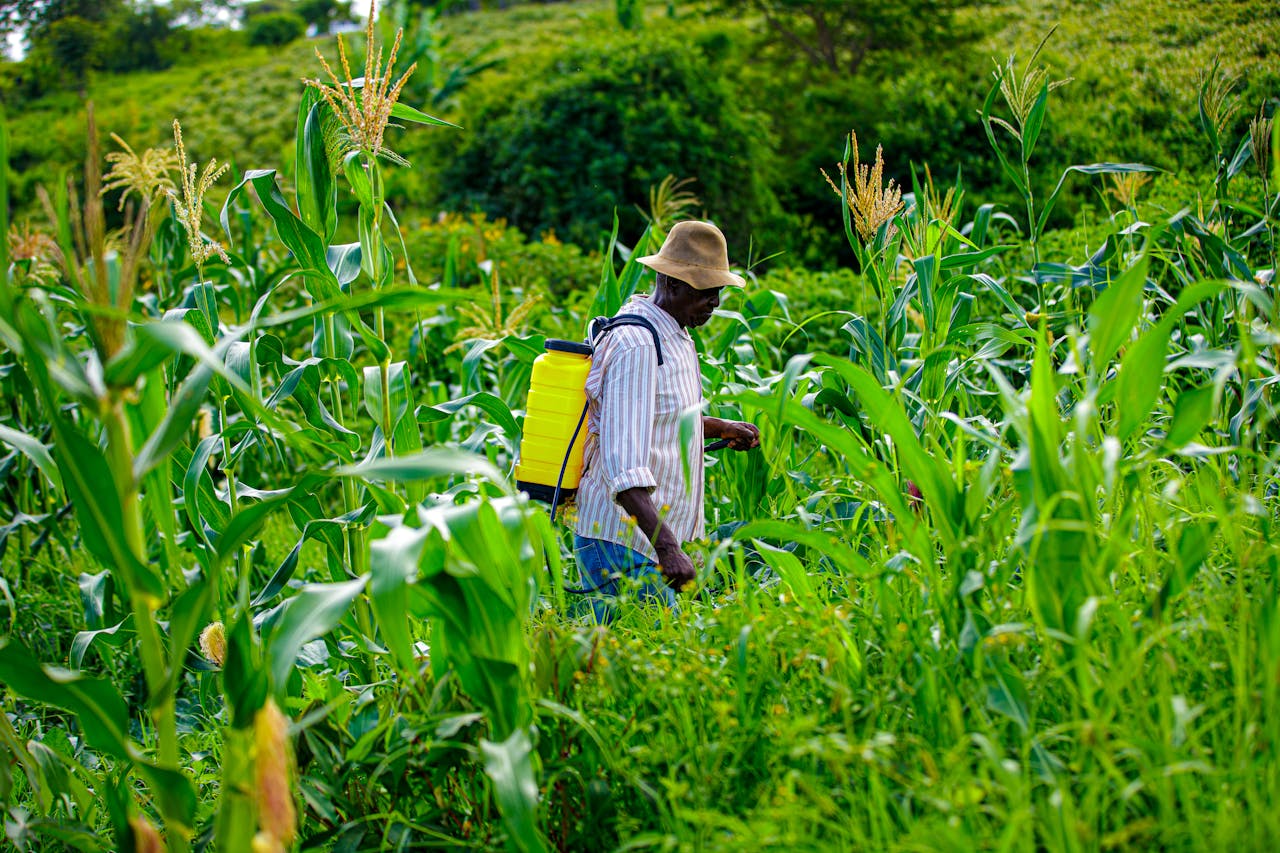 Optimisez vos pratiques agricoles avec l’eau de pluie – Webinaire exclusif du Programme Souveraineté Alimentaire