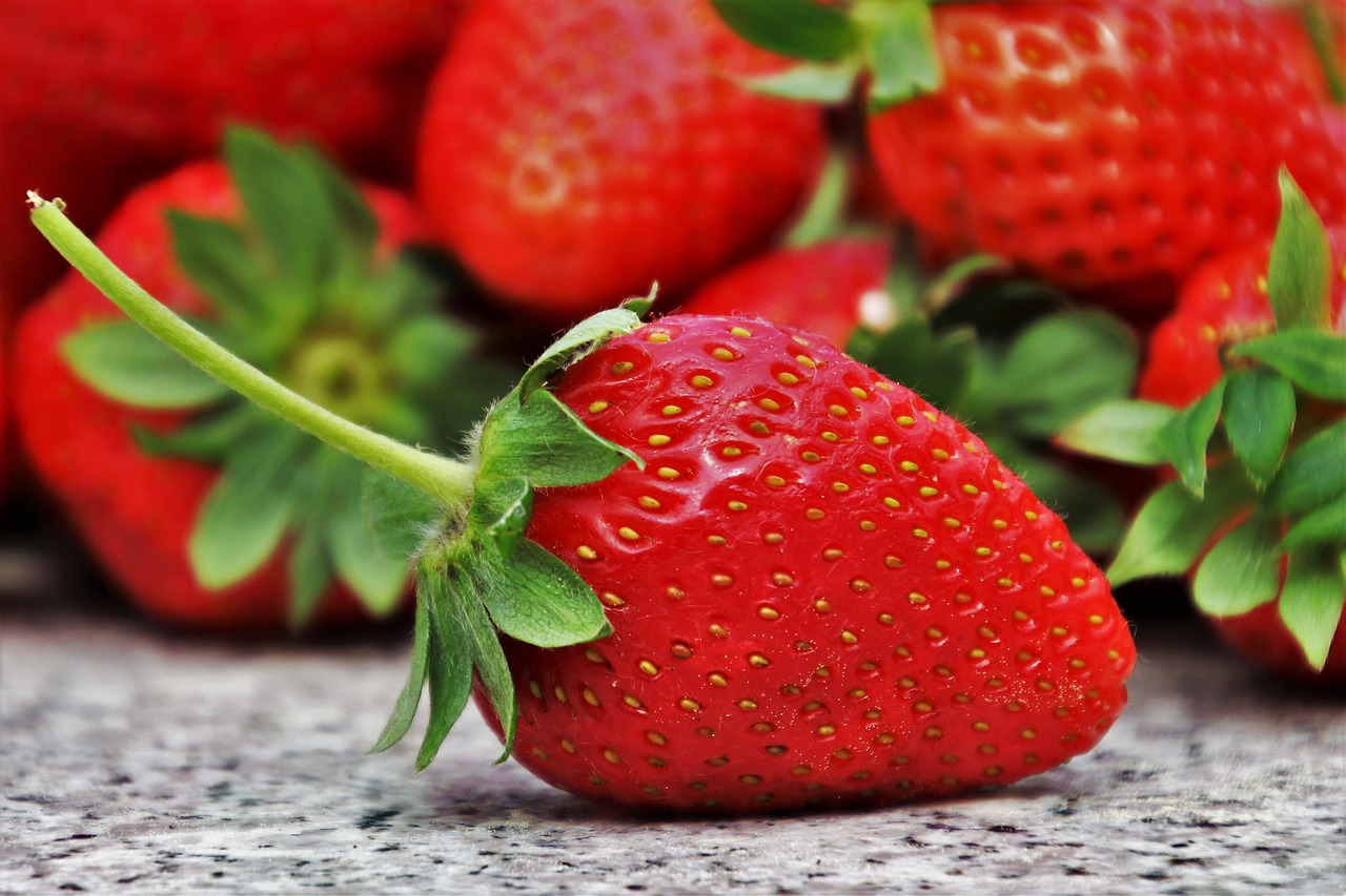 Cultivez vos propres fraises partout : Votre Guide Pratique pour un Jardin Fruité Même en Milieu Urbain