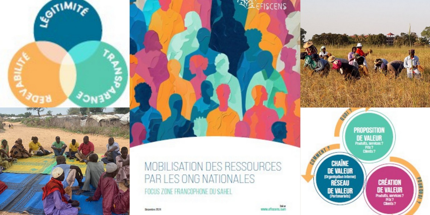 Mobilisation des ressources par les ONG nationales : relever les défis d’un financement direct