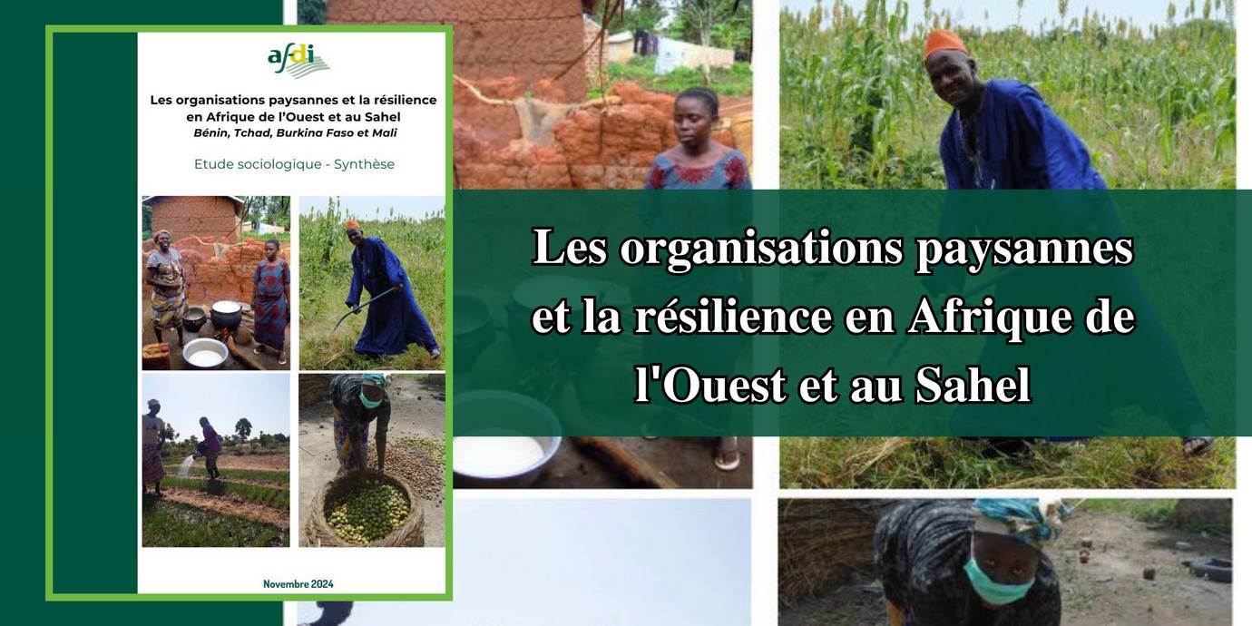 Les organisations paysannes : piliers de la résilience en Afrique de l’Ouest et au Sahel